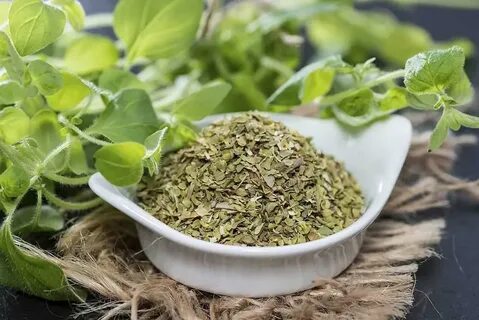 خرید و فروش عمده سبزی پونه خشک + قیمت صادراتی
